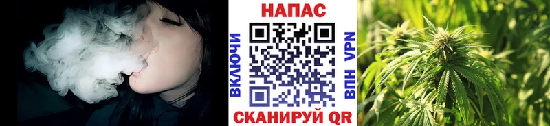Конопля план  Ермолино 